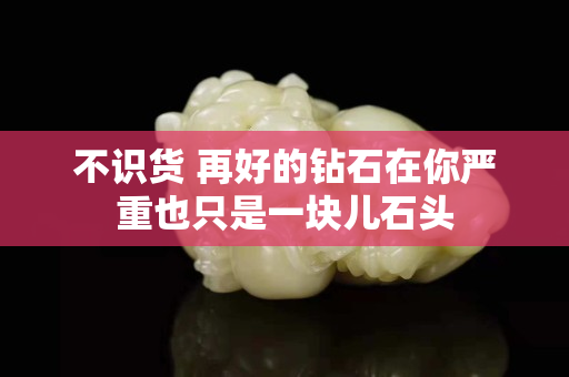 不識貨 再好的鉆石在你嚴重也只是一塊兒石頭