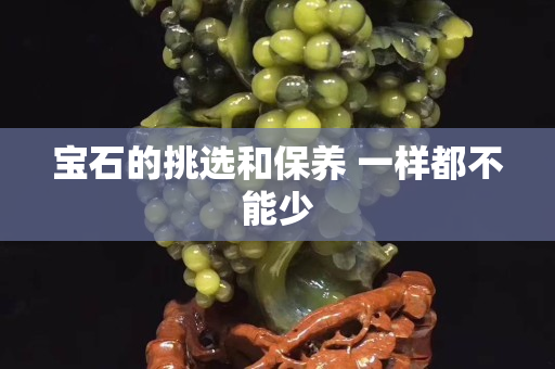 寶石的挑選和保養(yǎng) 一樣都不能少
