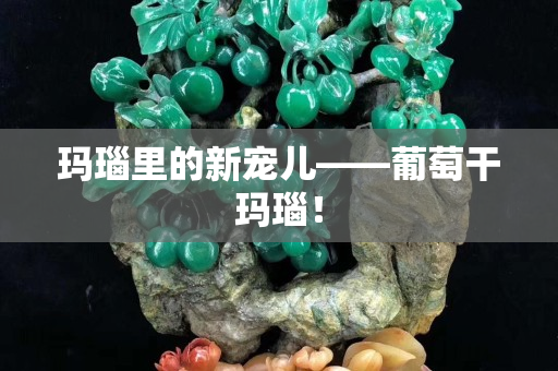 瑪瑙里的新寵兒——葡萄干瑪瑙！