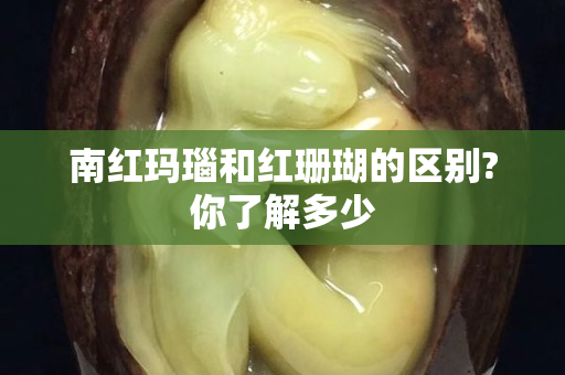 南紅瑪瑙和紅珊瑚的區(qū)別?你了解多少