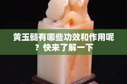 黃玉髓有哪些功效和作用呢？快來了解一下