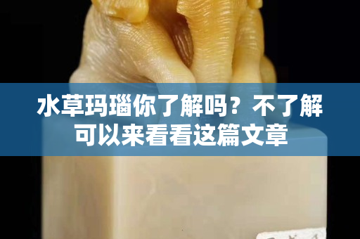 水草瑪瑙你了解嗎？不了解可以來看看這篇文章