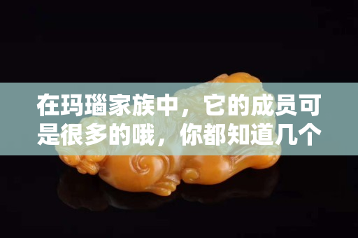 在瑪瑙家族中，它的成員可是很多的哦，你都知道幾個呢？