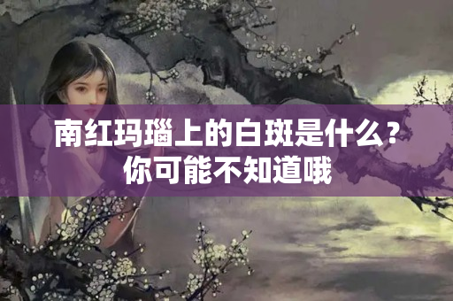 南紅瑪瑙上的白斑是什么？你可能不知道哦