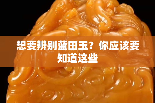 想要辨別藍田玉？你應該要知道這些
