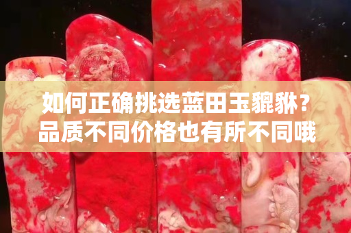 如何正確挑選藍田玉貔貅？品質不同價格也有所不同哦