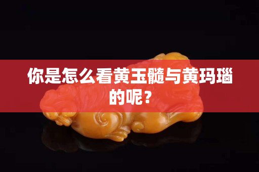 你是怎么看黃玉髓與黃瑪瑙的呢？
