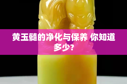 黃玉髓的凈化與保養 你知道多少?