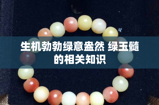 生機勃勃綠意盎然 綠玉髓的相關知識
