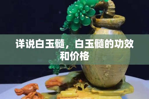 詳說白玉髓，白玉髓的功效和價格