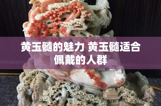 黃玉髓的魅力 黃玉髓適合佩戴的人群