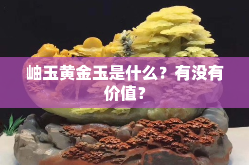 岫玉黃金玉是什么？有沒(méi)有價(jià)值？