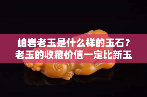 岫巖老玉是什么樣的玉石？老玉的收藏價值一定比新玉高嗎？