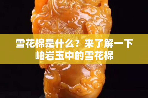 雪花棉是什么？來了解一下岫巖玉中的雪花棉