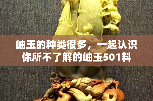 岫玉的種類很多，一起認識你所不了解的岫玉501料