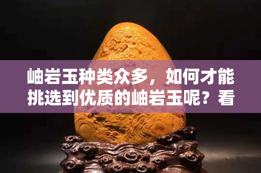 岫巖玉種類眾多，如何才能挑選到優質的岫巖玉呢？看完你就明白了