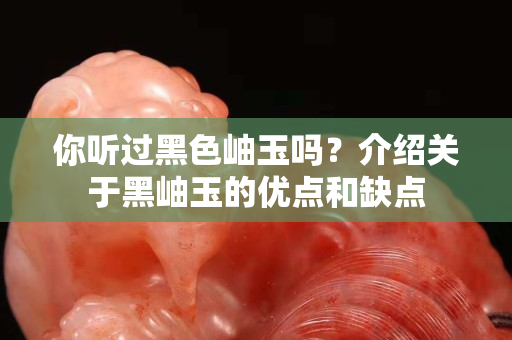 你聽(tīng)過(guò)黑色岫玉嗎？介紹關(guān)于黑岫玉的優(yōu)點(diǎn)和缺點(diǎn)