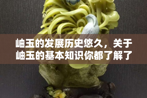 岫玉的發展歷史悠久，關于岫玉的基本知識你都了解了嗎？