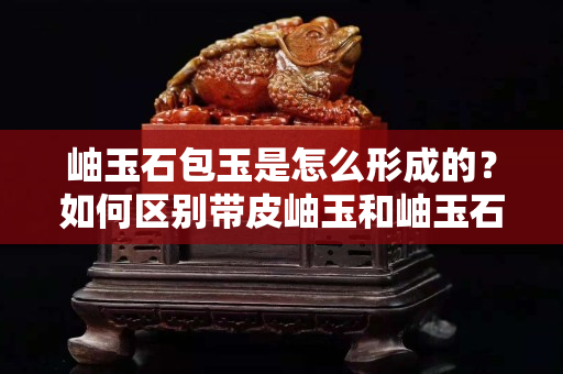岫玉石包玉是怎么形成的？如何區別帶皮岫玉和岫玉石包玉？