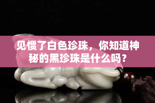 見慣了白色珍珠，你知道神秘的黑珍珠是什么嗎？