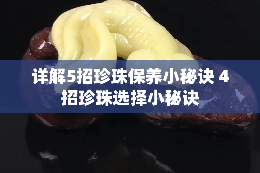 詳解5招珍珠保養小秘訣 4招珍珠選擇小秘訣