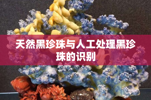 天然黑珍珠與人工處理黑珍珠的識別