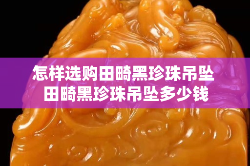 怎樣選購田畸黑珍珠吊墜 田畸黑珍珠吊墜多少錢