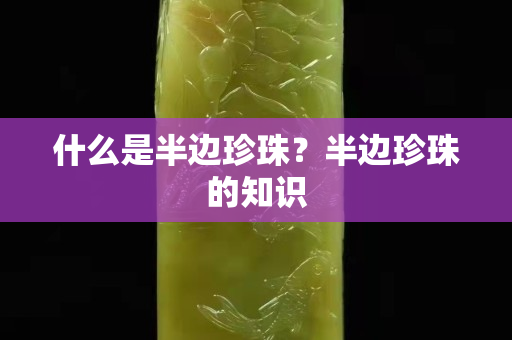 什么是半邊珍珠？半邊珍珠的知識