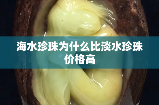 海水珍珠為什么比淡水珍珠價(jià)格高