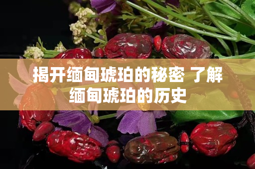 揭開緬甸琥珀的秘密 了解緬甸琥珀的歷史