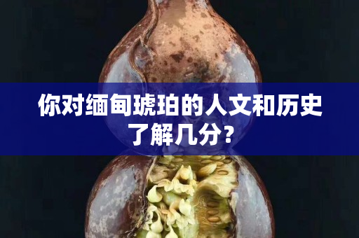 你對緬甸琥珀的人文和歷史了解幾分？