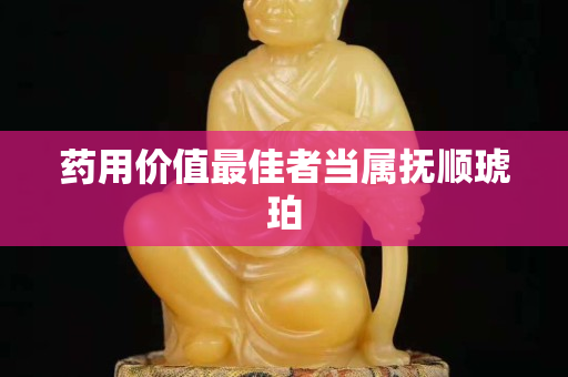 藥用價值最佳者當屬撫順琥珀