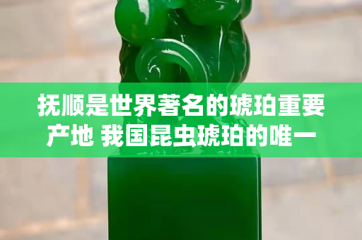 撫順是世界著名的琥珀重要產地 我國昆蟲琥珀的唯一產地