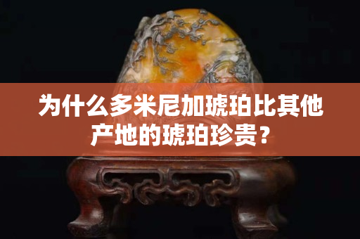 為什么多米尼加琥珀比其他產地的琥珀珍貴？