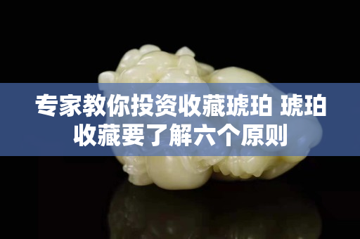 專家教你投資收藏琥珀 琥珀收藏要了解六個原則
