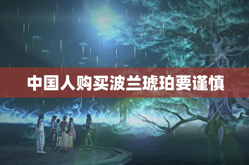 中國人購買波蘭琥珀要謹慎