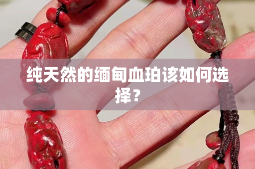 純天然的緬甸血珀該如何選擇？
