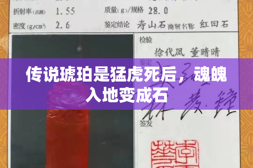 傳說琥珀是猛虎死后，魂魄入地變成石