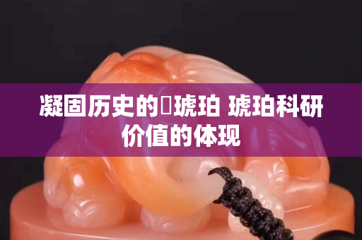 凝固歷史的?琥珀 琥珀科研價值的體現