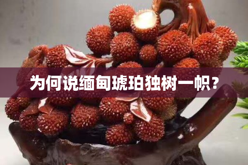 為何說緬甸琥珀獨樹一幟？