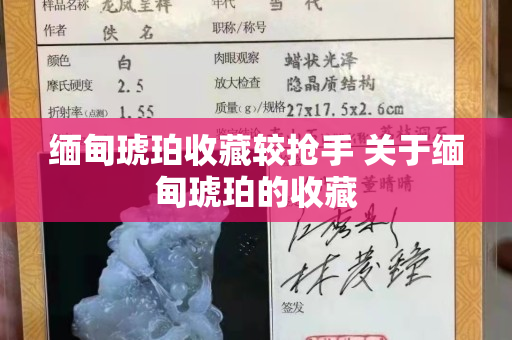 緬甸琥珀收藏較搶手 關于緬甸琥珀的收藏