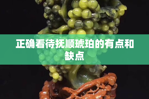 正確看待撫順琥珀的有點和缺點