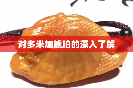 對多米加琥珀的深入了解