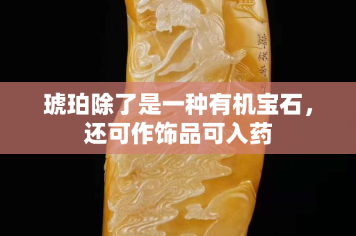 琥珀除了是一種有機寶石，還可作飾品可入藥
