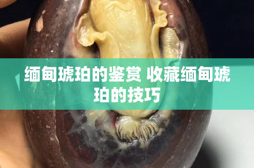 緬甸琥珀的鑒賞 收藏緬甸琥珀的技巧