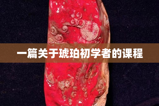一篇關(guān)于琥珀初學(xué)者的課程