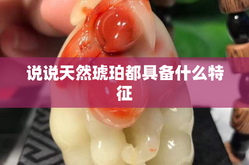 說說天然琥珀都具備什么特征