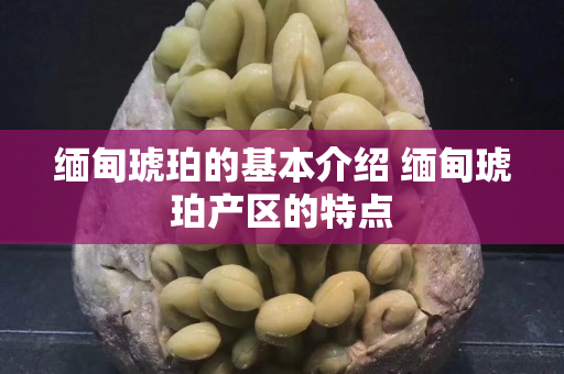 緬甸琥珀的基本介紹 緬甸琥珀產區的特點