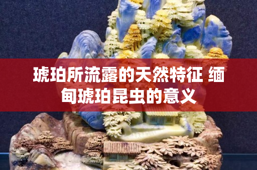 琥珀所流露的天然特征 緬甸琥珀昆蟲的意義