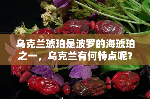 烏克蘭琥珀是波羅的海琥珀之一，烏克蘭有何特點呢？